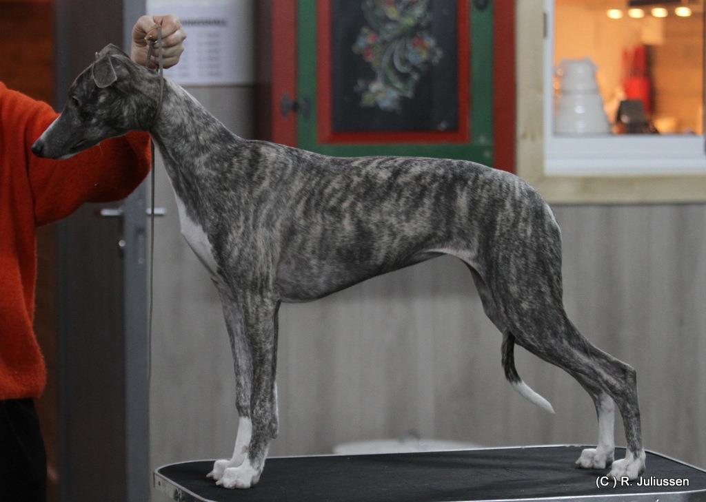 51933370_10157563536795476_2466203692043337728_o (1)